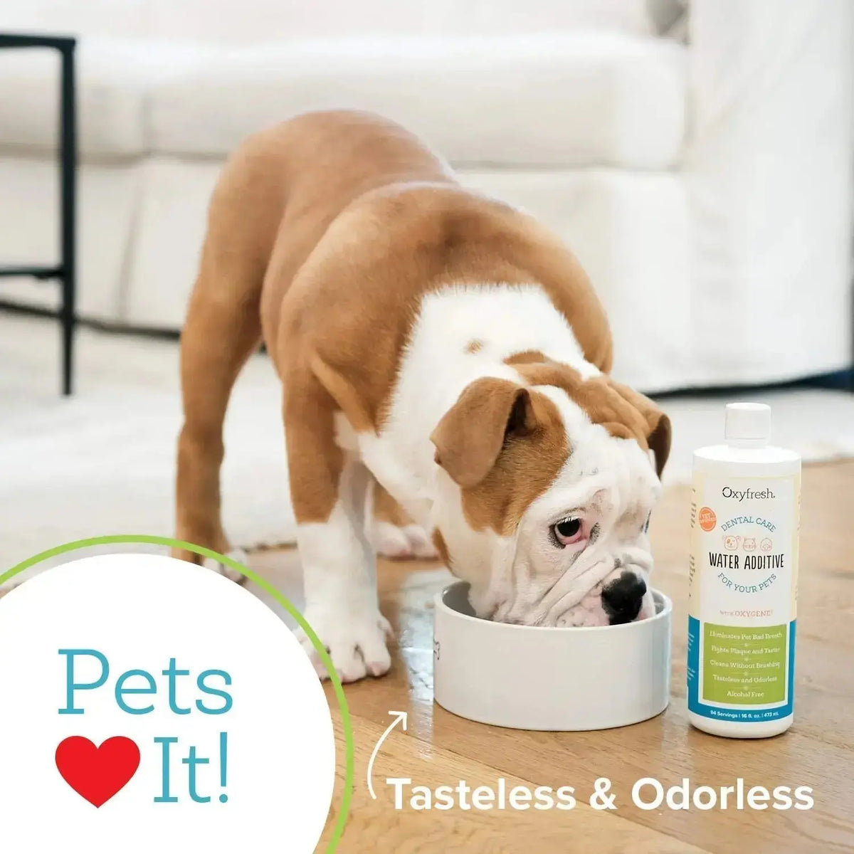 Oxyfresh Premium Pet Dental Care Solution Pet Water Additive: Best Way to Eliminate Bad Dog Breath and Cat Bad Breath