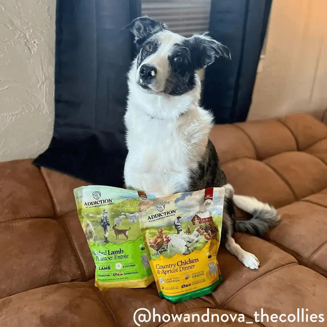Perfect Summer Brushtail Air-Dried Dog Food Addiction Pet Foods USA
