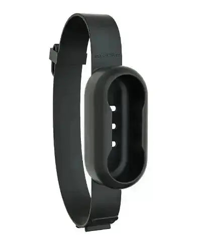 Pet Collar Camera - New Black / Black Collar