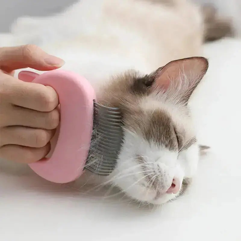 Pet Massage Brush Pet Grooming Massage Tool To Remove Loose Hairs - Pets
