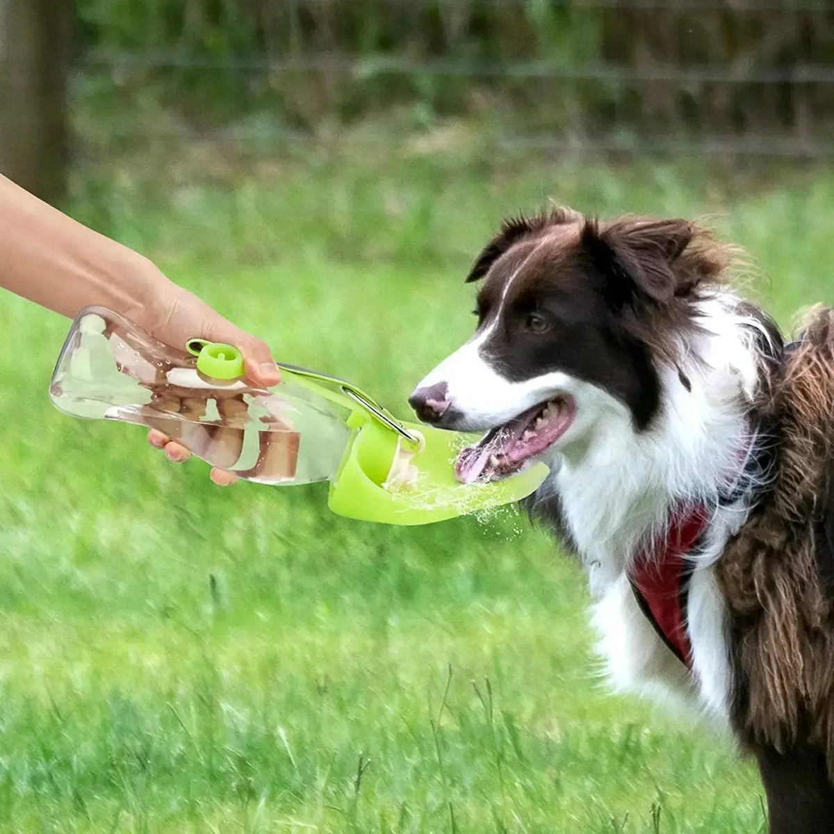 Portable Pet Water Dispenser Feeder Leak Proof - Petcare
