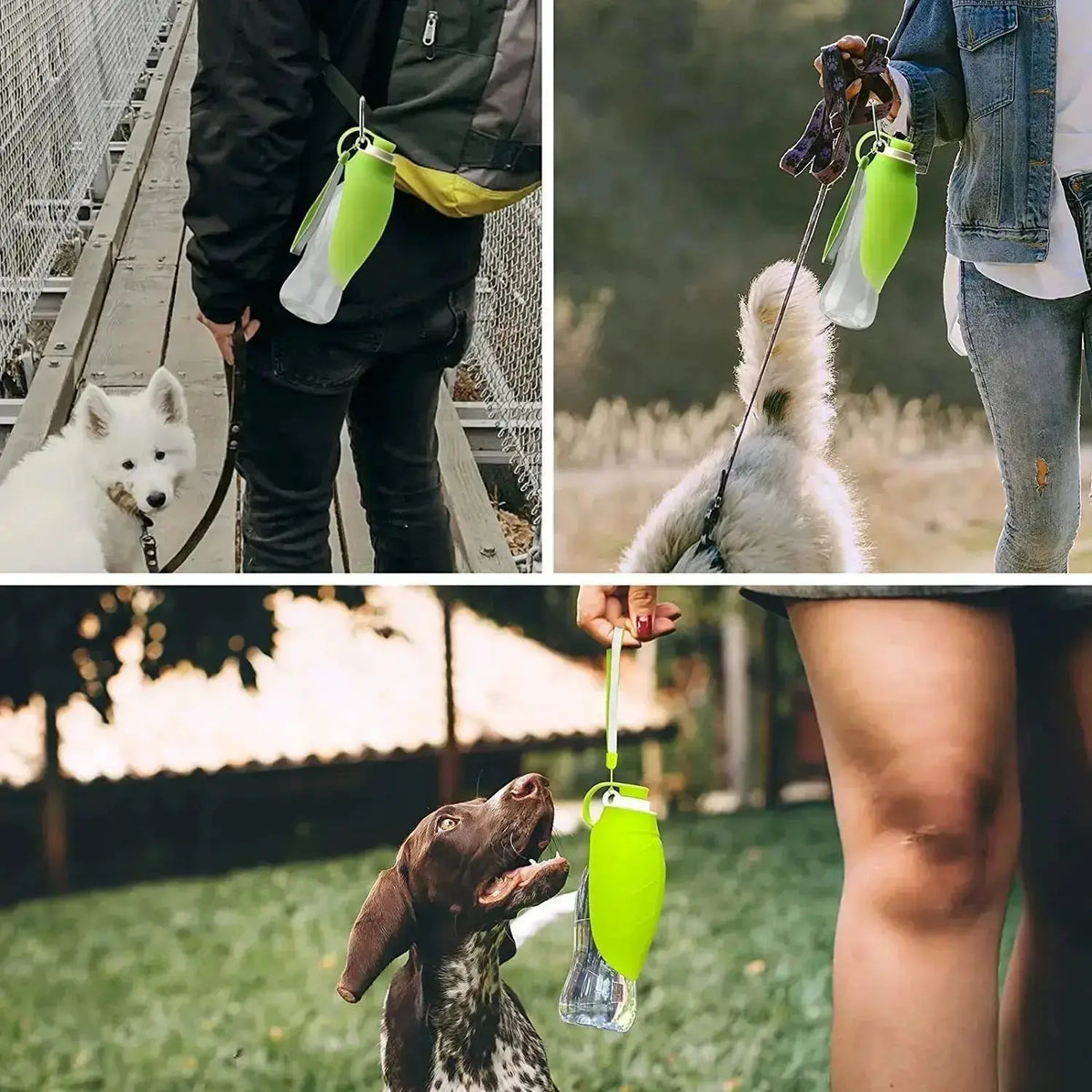 Portable Pet Water Dispenser Feeder Leak Proof - Petcare