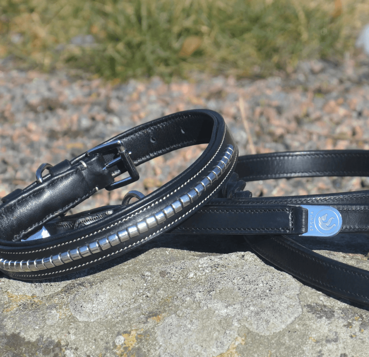 Premium dog collar in natural tanned leather and classic clincher Eponia
