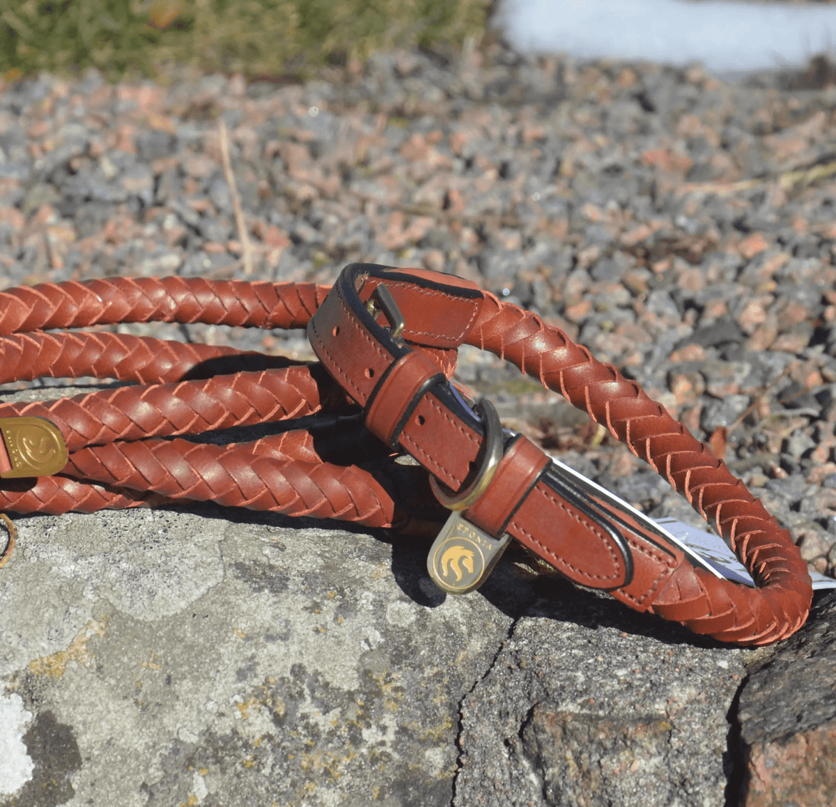 Premium dog collar in rounded natural tanned leather Eponia