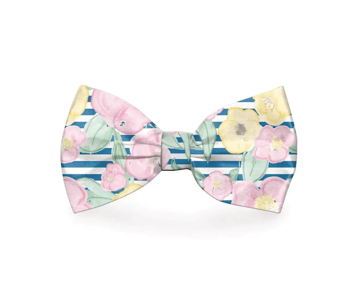 Preppy Pet Floral Dog Bow Tie - Leashes Collars & Petwear
