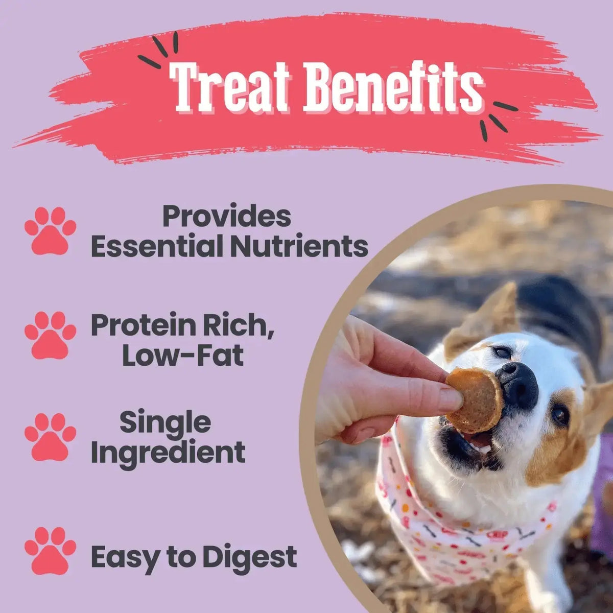 Puppy Love Chicken and Turkey Dog Treats | Poultry Chip Variety Pack - Chip