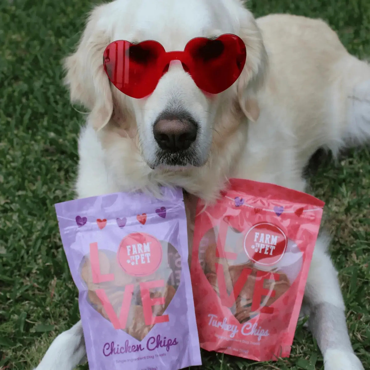 Puppy Love Chicken and Turkey Dog Treats | Poultry Chip Variety Pack - Chip