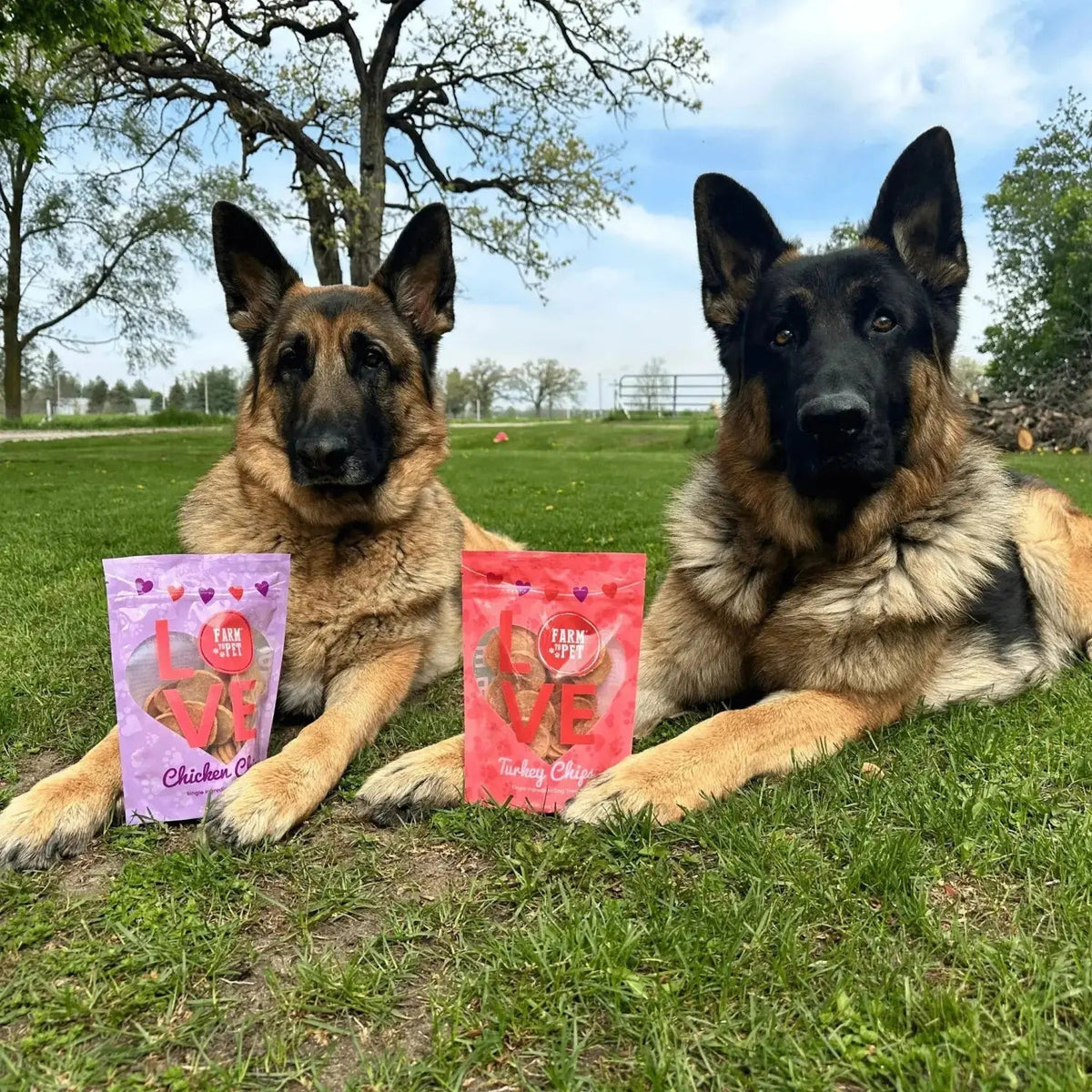 Puppy Love Chicken and Turkey Dog Treats | Poultry Chip Variety Pack - Chip