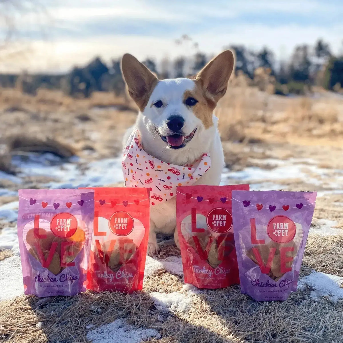 Puppy Love Chicken and Turkey Dog Treats | Poultry Chip Variety Pack - Chip