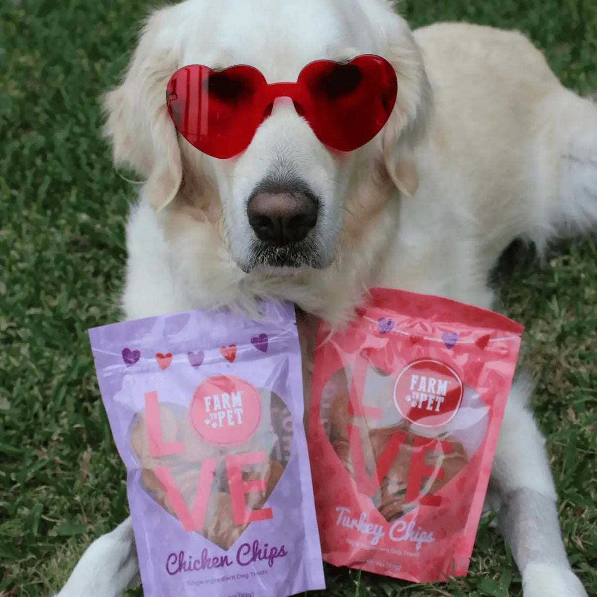 Puppy Love Chicken and Turkey Dog Treats | Poultry Chip Variety Pack - Chip