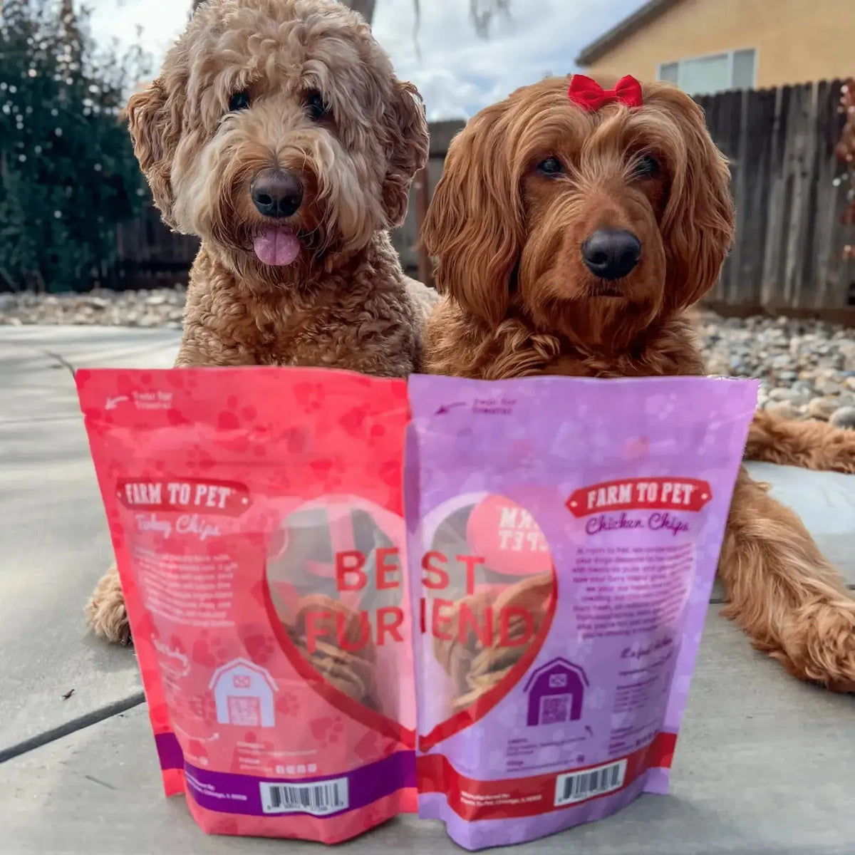 Puppy Love Chicken and Turkey Dog Treats | Poultry Chip Variety Pack - Chip