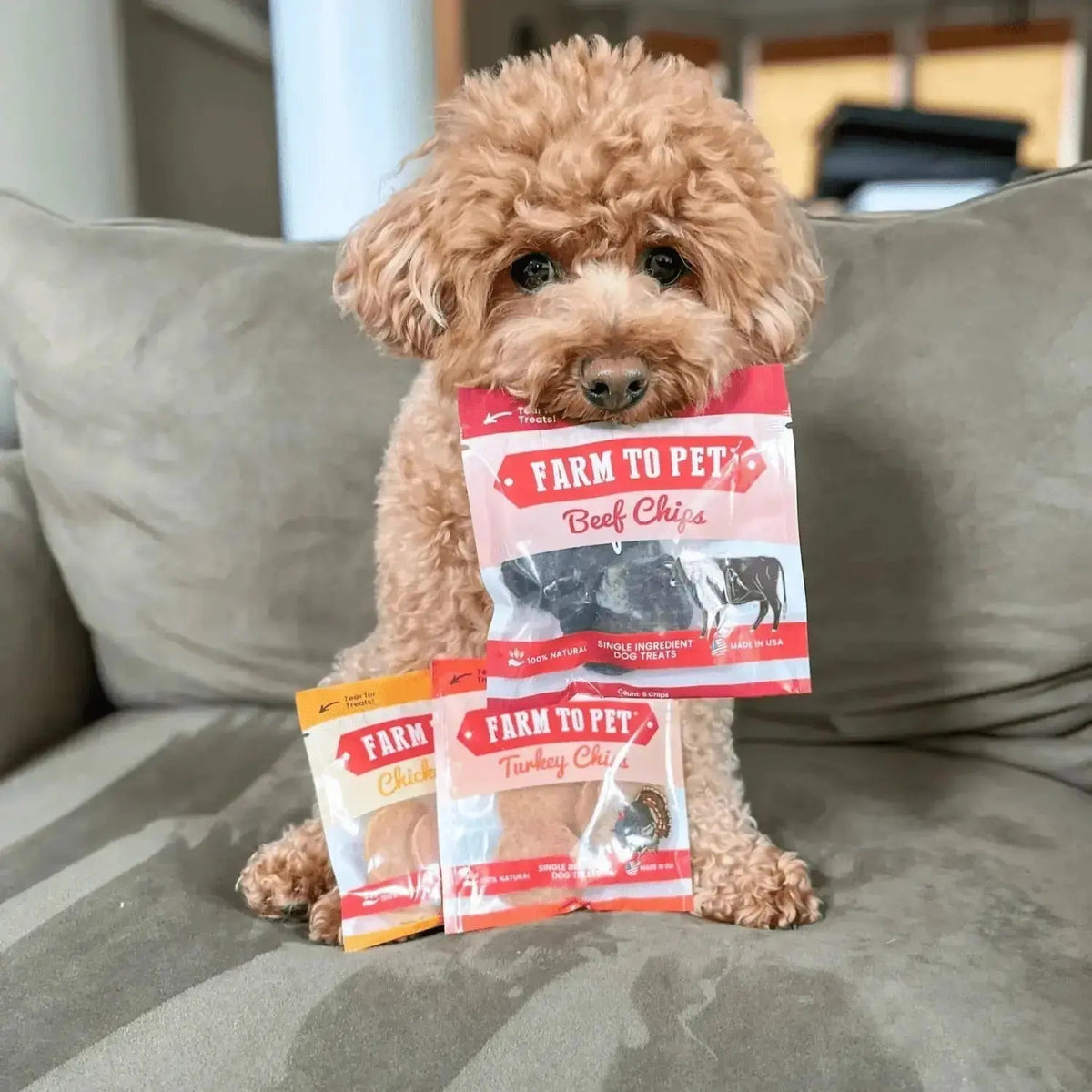 Puppy Packs ’n Snacks Dog Treat Starter Pack | Puppy Training Treats - Bundle