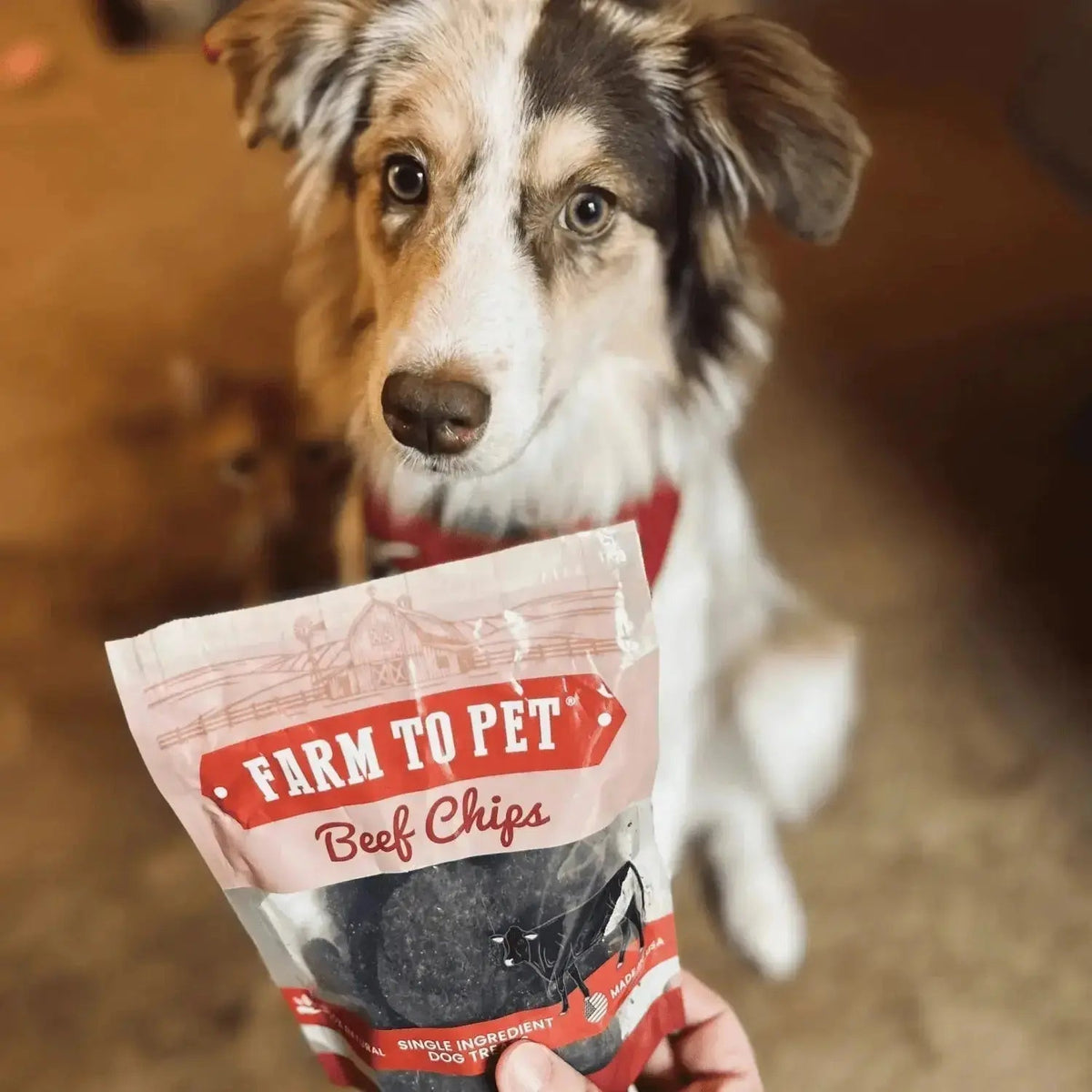 Puppy Packs ’n Snacks Dog Treat Starter Pack | Puppy Training Treats - Bundle