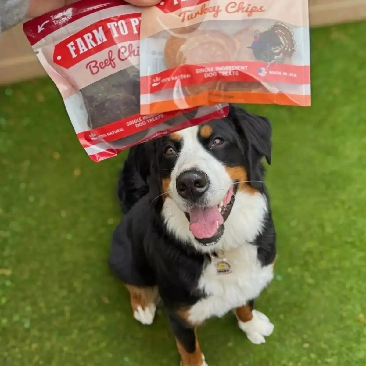 Puppy Packs ’n Snacks Dog Treat Starter Pack | Puppy Training Treats - Bundle