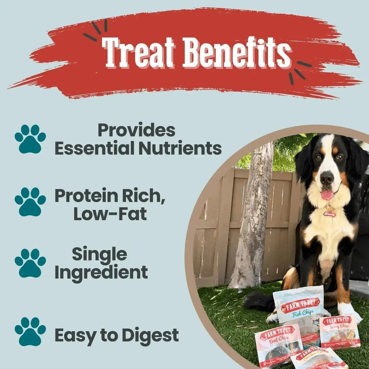 Puppy Packs ’n Snacks Dog Treat Starter Pack | Puppy Training Treats - Bundle