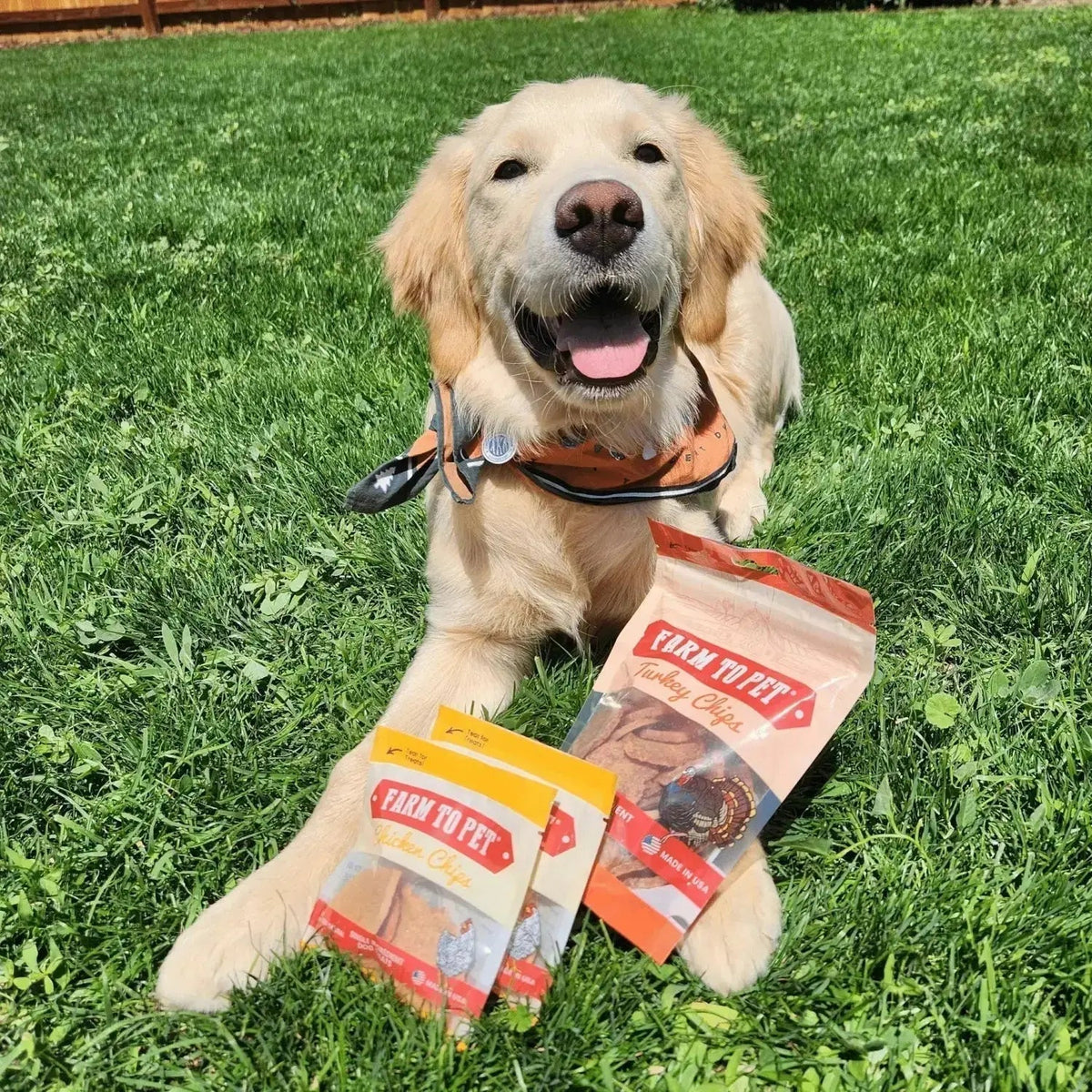 Puppy Packs ’n Snacks Dog Treat Starter Pack | Puppy Training Treats - Bundle