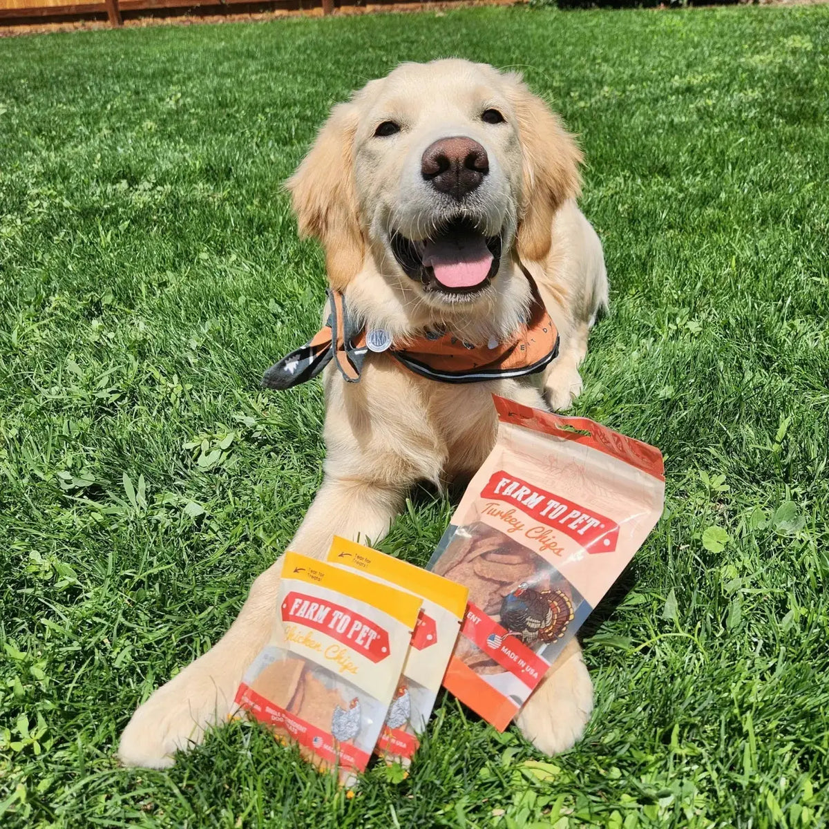 Puppy Packs ’n Snacks Dog Treat Starter Pack | Puppy Training Treats - Bundle