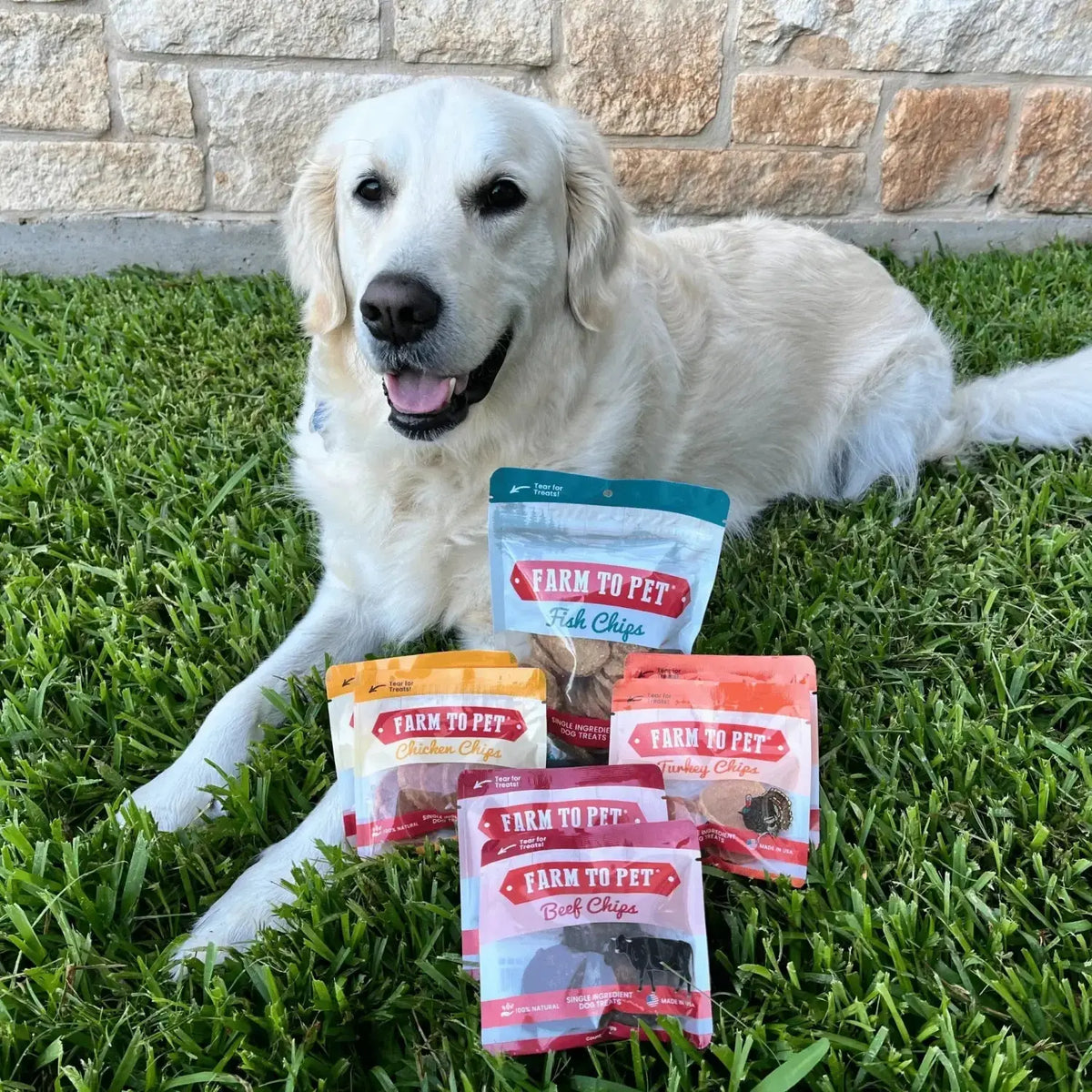 Puppy Packs ’n Snacks Dog Treat Starter Pack | Puppy Training Treats - Bundle