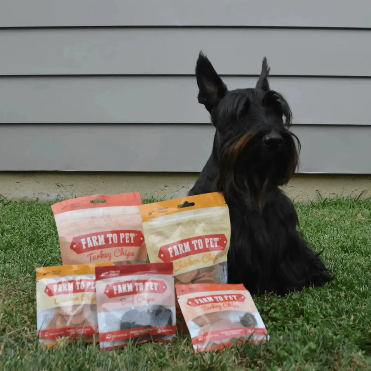 Puppy Packs ’n Snacks Dog Treat Starter Pack | Puppy Training Treats - Bundle