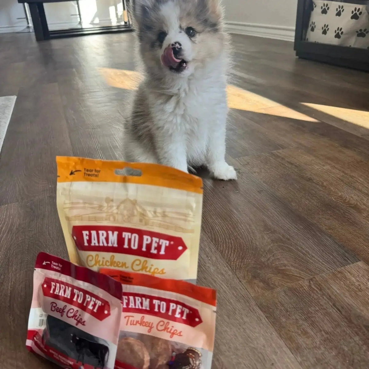 Puppy Packs ’n Snacks Dog Treat Starter Pack | Puppy Training Treats - Bundle
