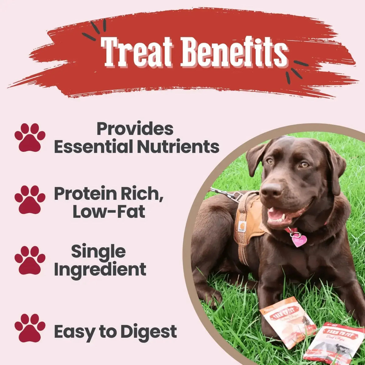 Puppy Packs ’n Snacks Dog Treat Starter Pack | Puppy Training Treats - Bundle