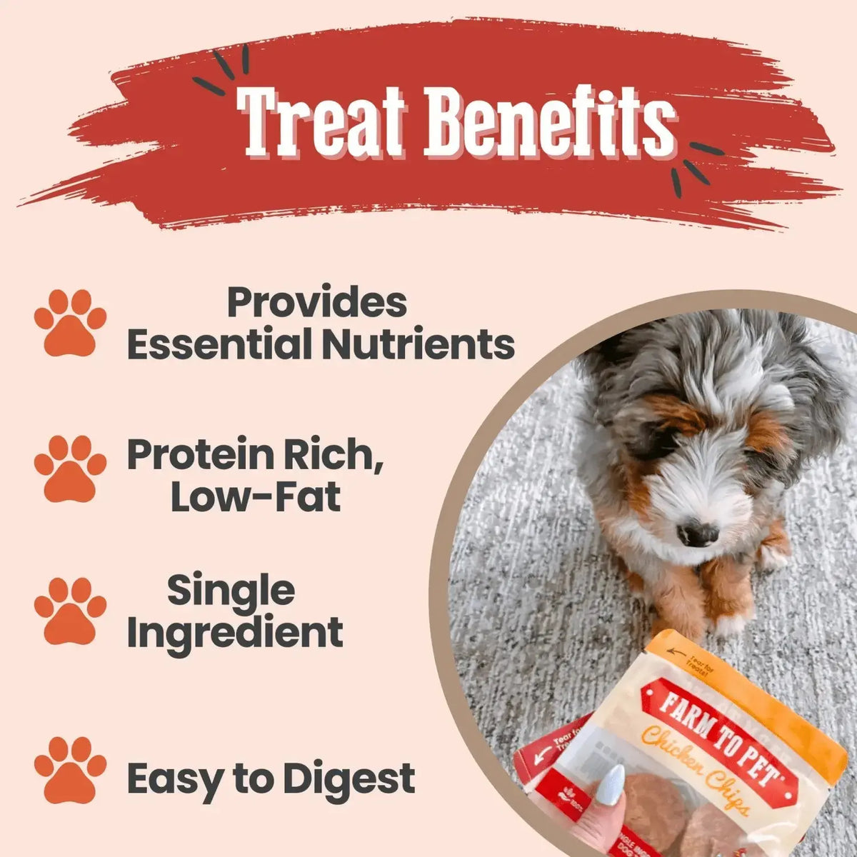 Puppy Packs ’n Snacks Dog Treat Starter Pack | Puppy Training Treats - Bundle