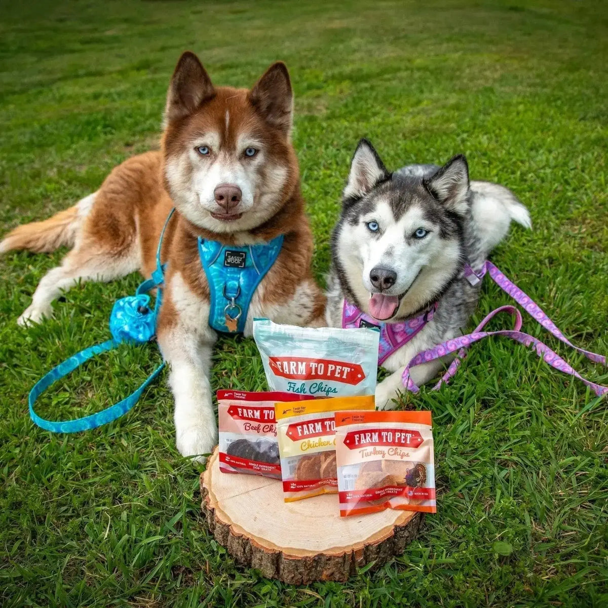 Puppy Packs ’n Snacks Dog Treat Starter Pack | Puppy Training Treats - Bundle