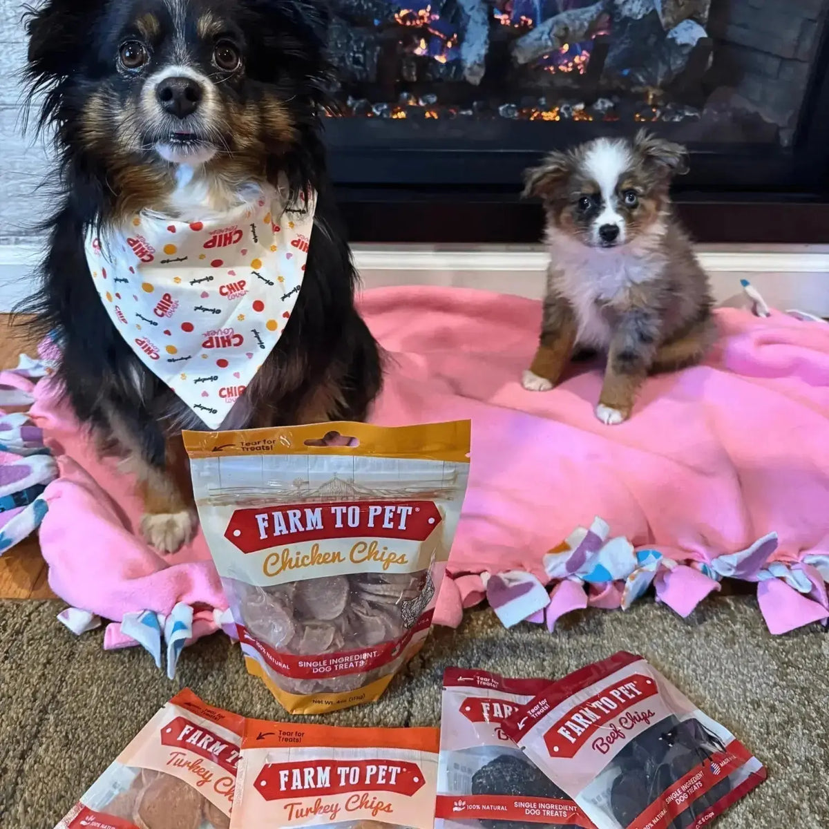 Puppy Packs ’n Snacks Dog Treat Starter Pack | Puppy Training Treats - Bundle