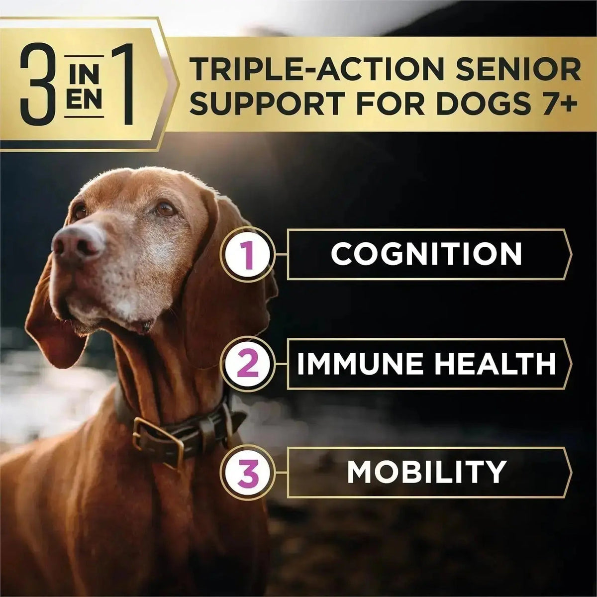 Purina Pro Plan Advantedge Senior Support 7+ Dry Dog Food, 3.5 Lb Bag