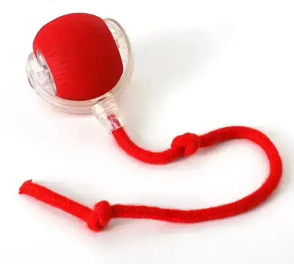 PurrPlay Self-Rolling Cat Toy Ball - With rope Red