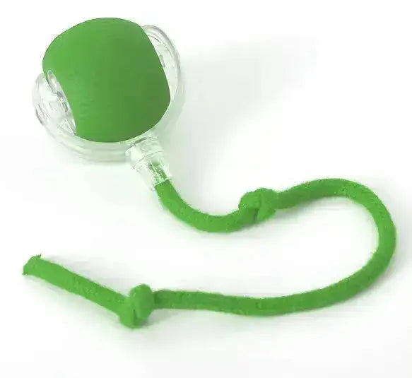 PurrPlay Self-Rolling Cat Toy Ball - With rope Green