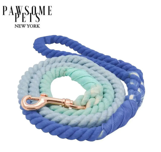 Rainbow Rope Leash - Oceanside Rainbow - rope leash
