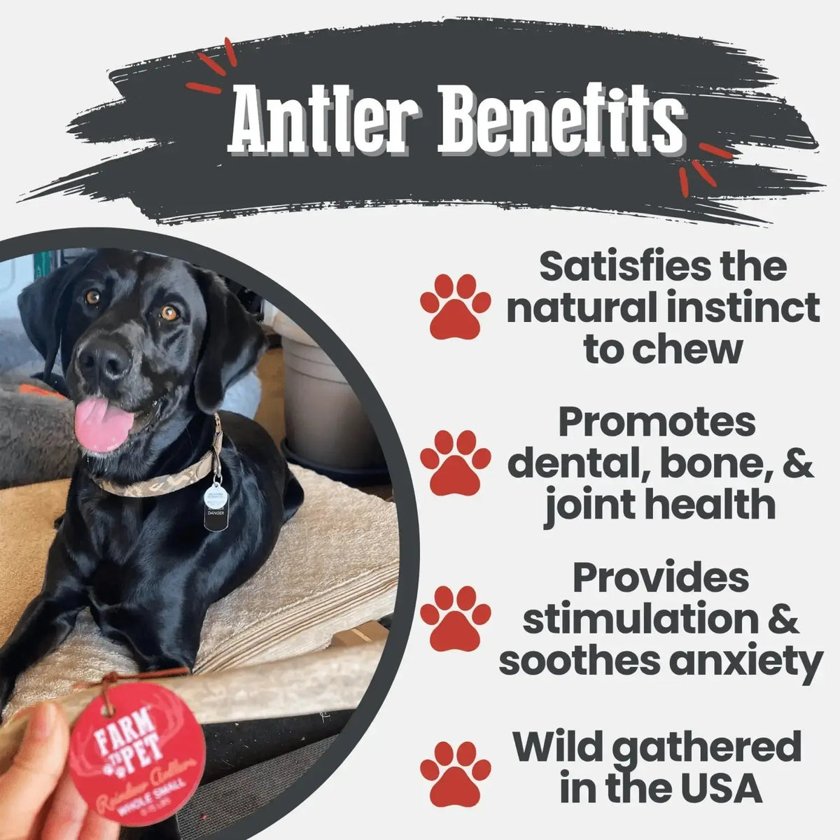 Reindeer Antler Dog Chews | Organic Chews for Dogs - Antler Dog Chew