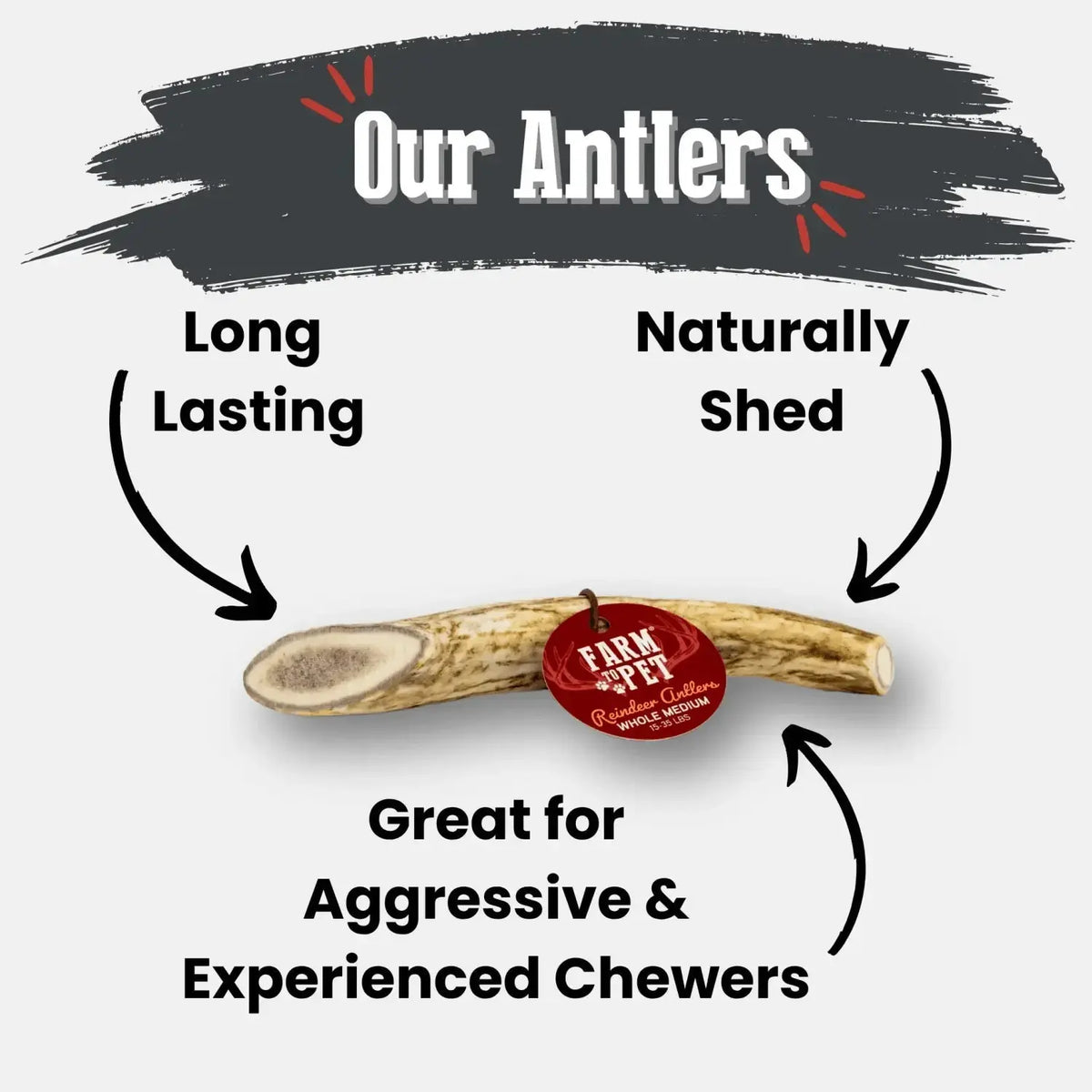 Reindeer Antler Dog Chews | Organic Chews for Dogs - Antler Dog Chew