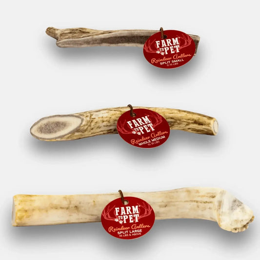 Reindeer Antler Dog Chews | Organic Chews for Dogs - Antler Dog Chew