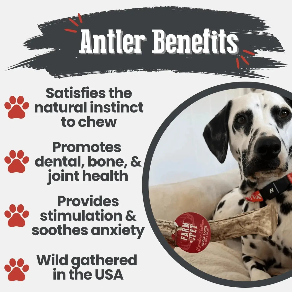 Reindeer Antler Dog Chews | Organic Chews for Dogs - Antler Dog Chew