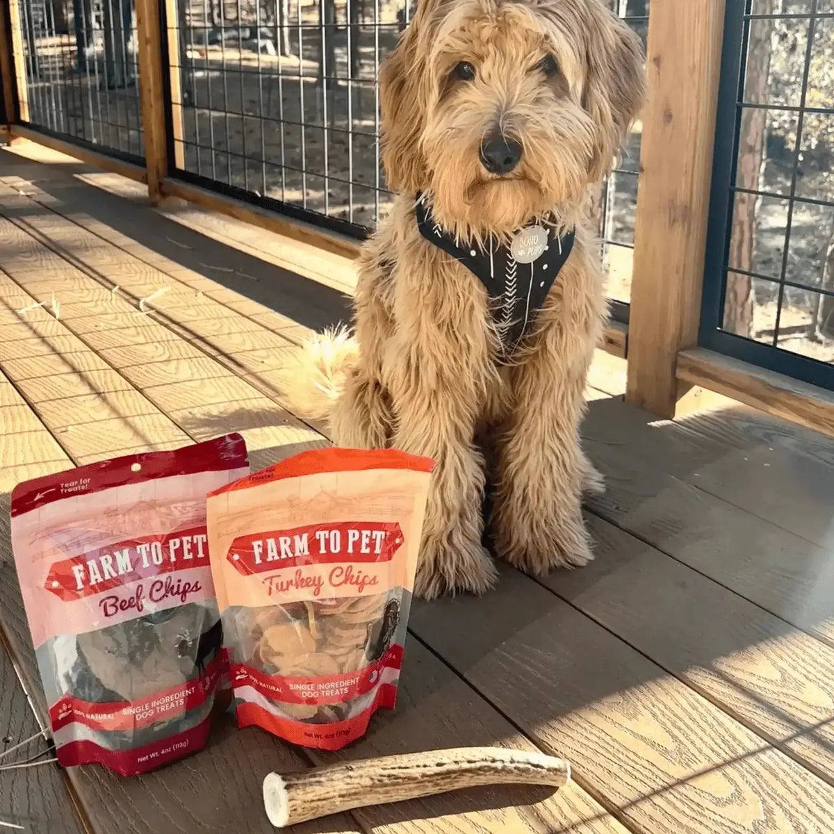 Reindeer Antler Dog Chews | Organic Chews for Dogs - Antler Dog Chew