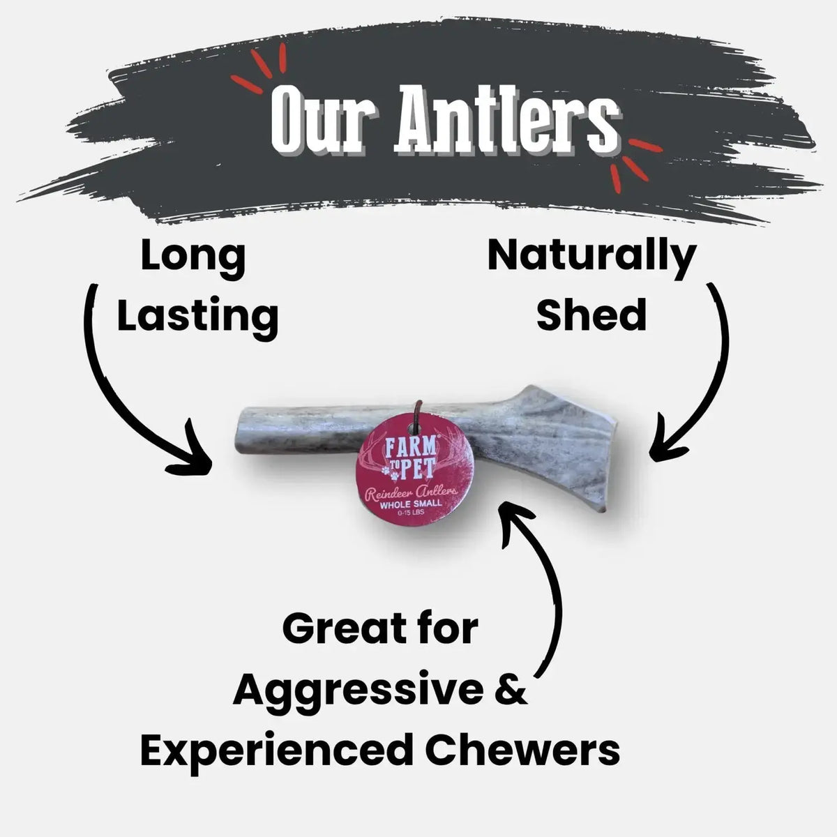 Reindeer Antler Dog Chews | Organic Chews for Dogs - Antler Dog Chew