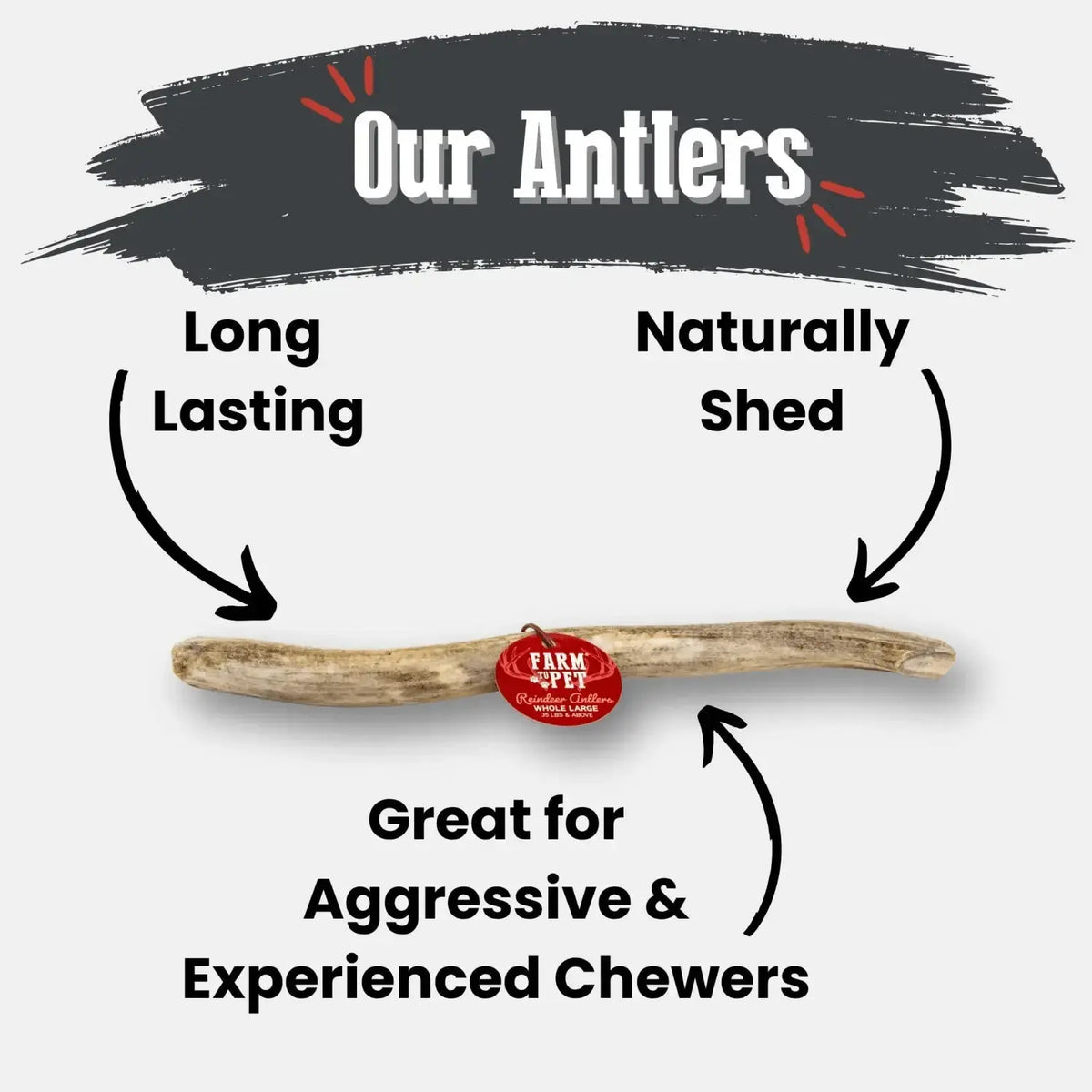 Reindeer Antler Dog Chews | Organic Chews for Dogs - Antler Dog Chew