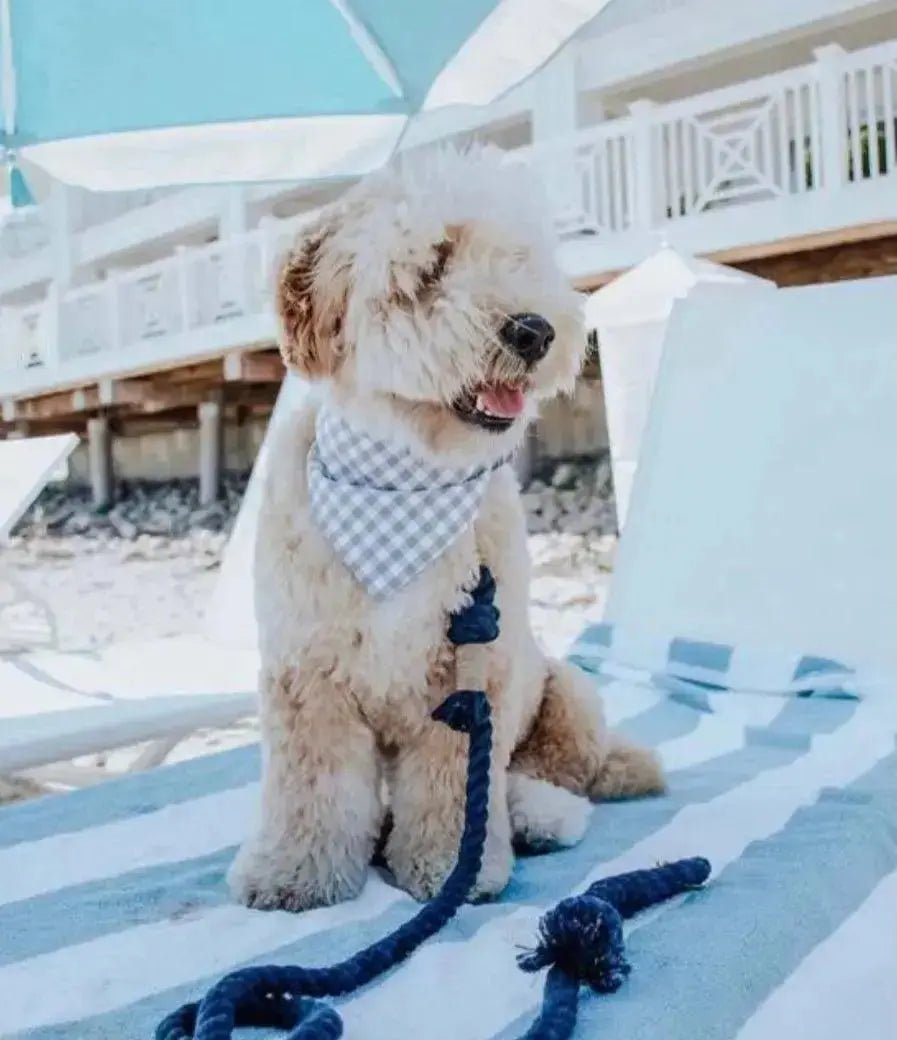 ROPE DOG LEASH - SUNSET - rope leash