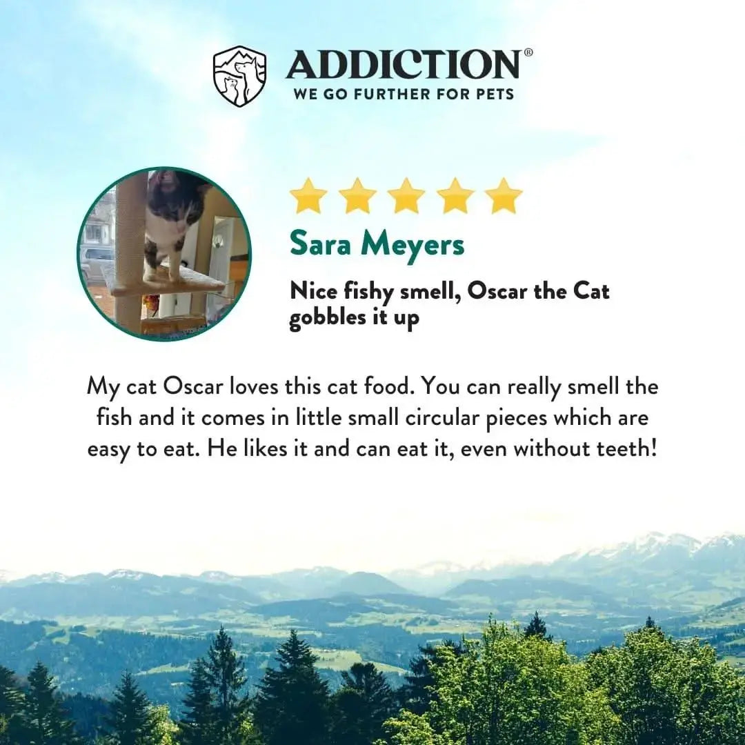Salmon Bleu Dry Cat Food Addiction Pet Foods USA