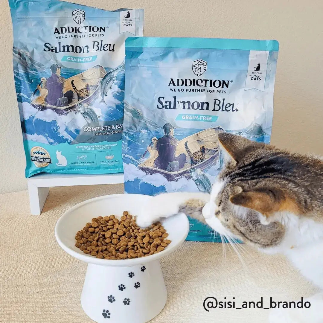 Salmon Bleu Dry Cat Food Addiction Pet Foods USA