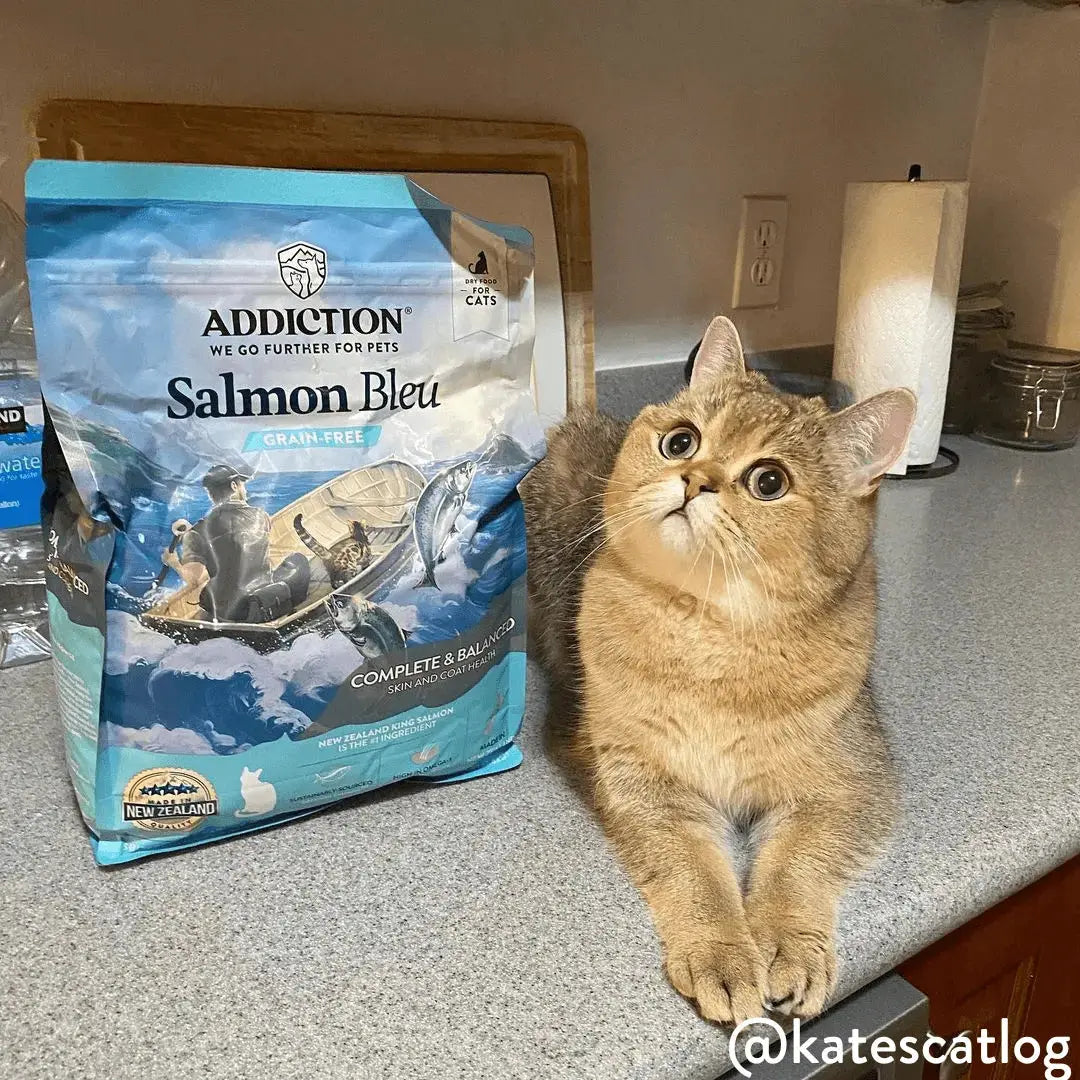 Salmon Bleu Dry Cat Food Addiction Pet Foods USA
