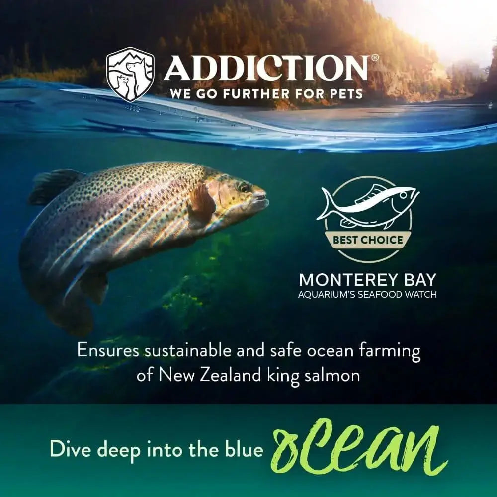 Salmon Bleu Dry Cat Food Addiction Pet Foods USA