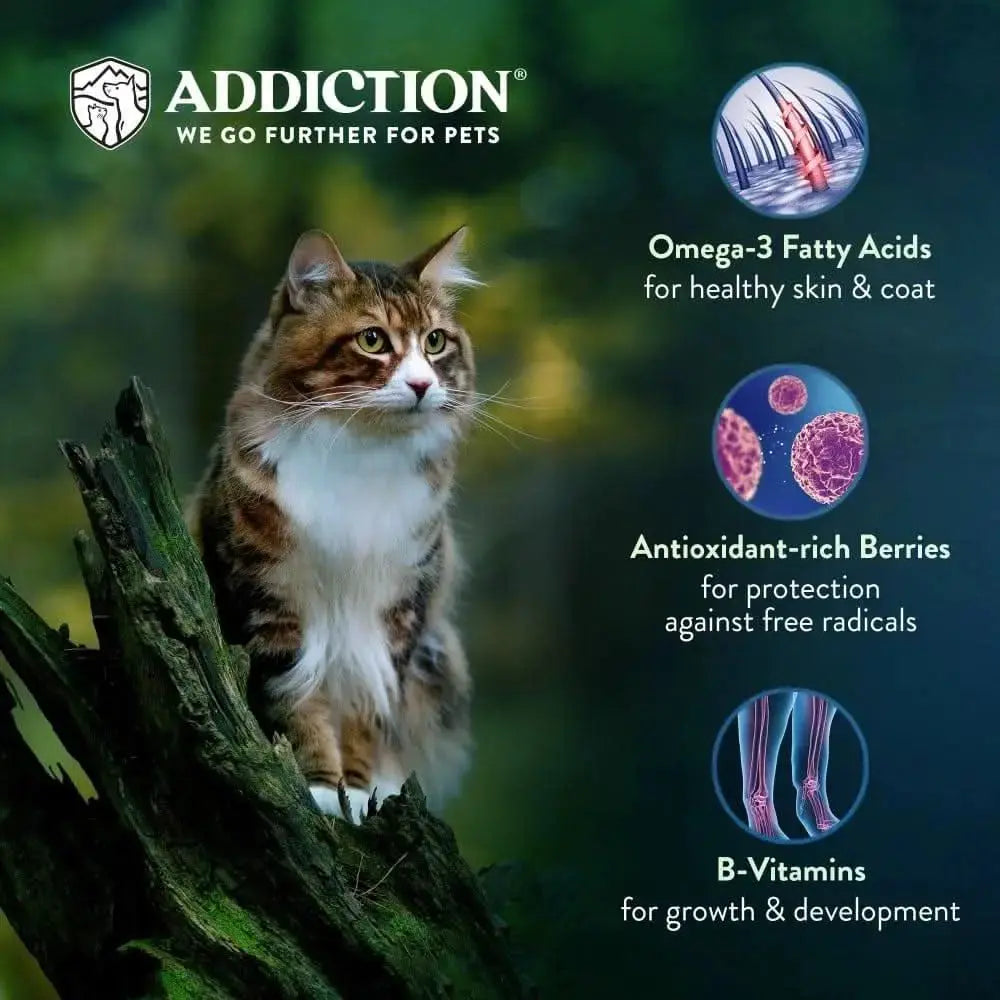Salmon Bleu Dry Cat Food Addiction Pet Foods USA