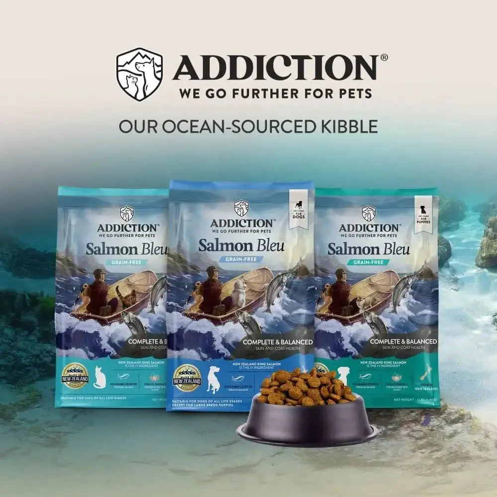 Salmon Bleu Dry Cat Food Addiction Pet Foods USA