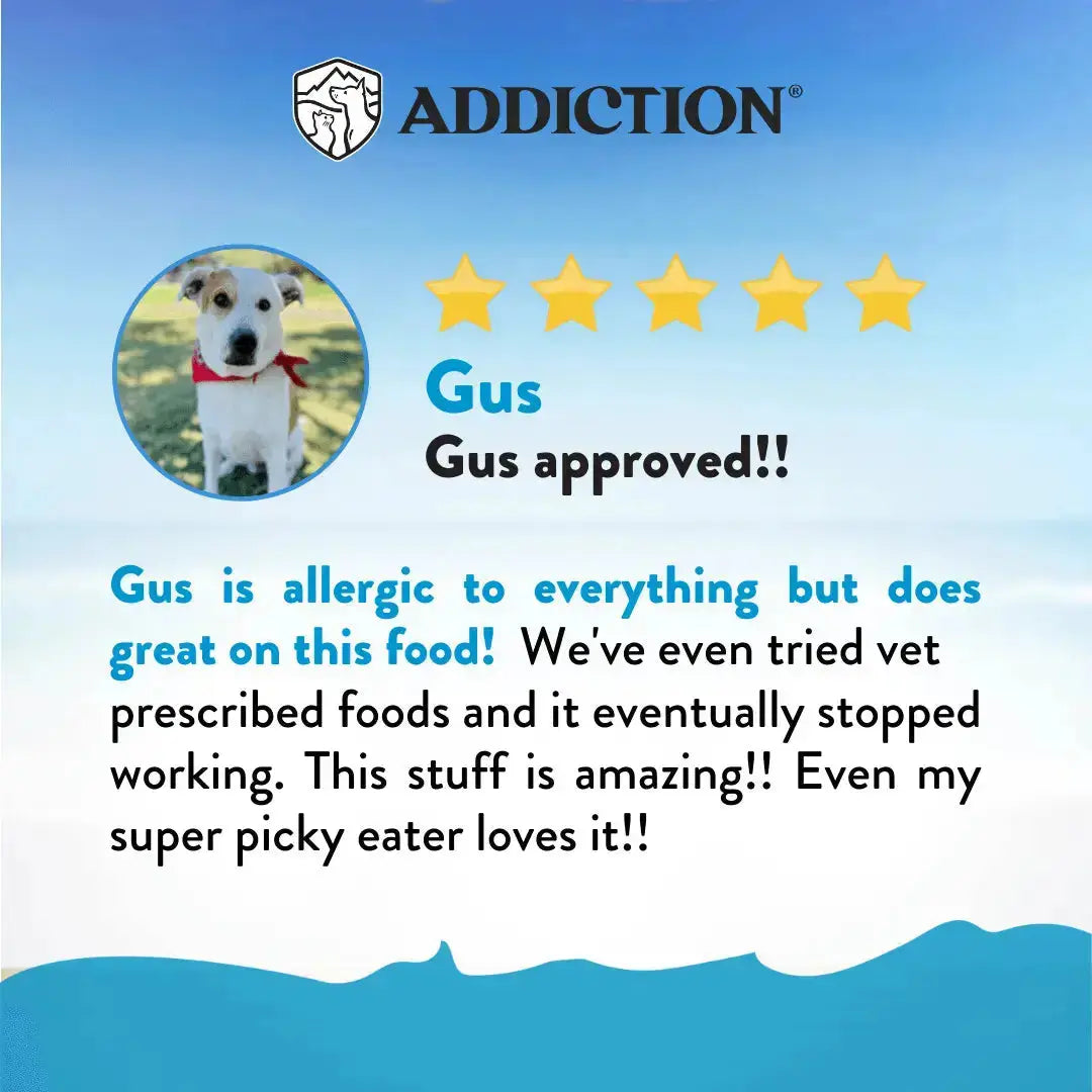 Salmon Bleu Dry Dog Food Addiction Pet Foods USA