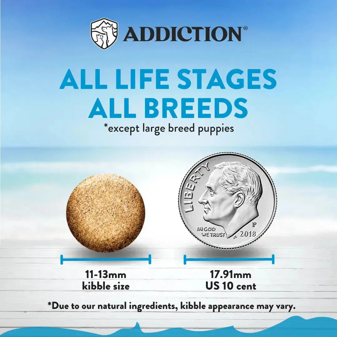 Salmon Bleu Dry Dog Food Addiction Pet Foods USA