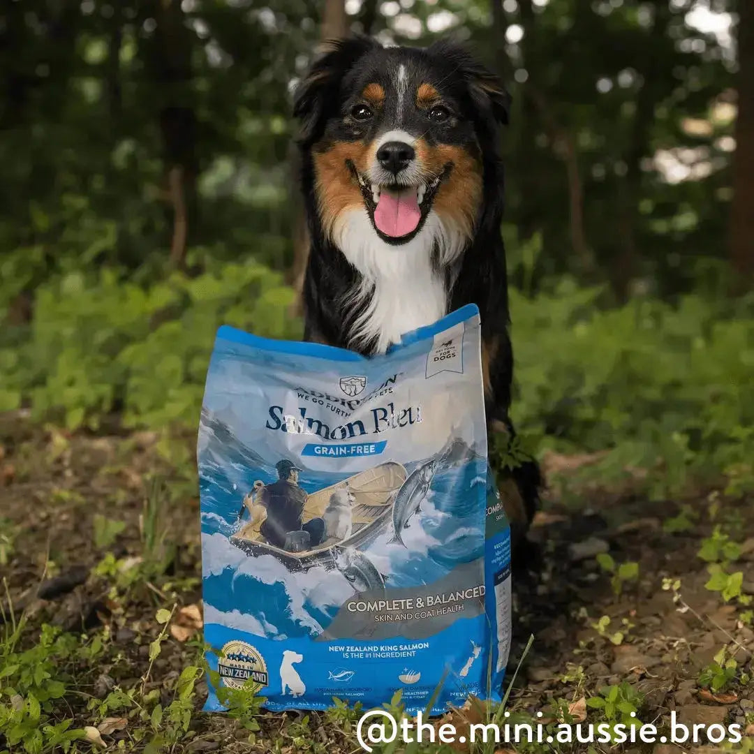 Salmon Bleu Dry Dog Food Addiction Pet Foods USA