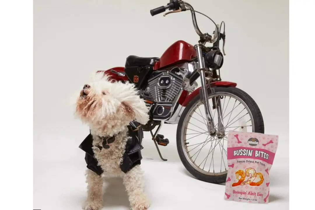 Single Ingredient, High Value Freeze-Dried Training Treats for Dogs & Cats - Shrimp My Store